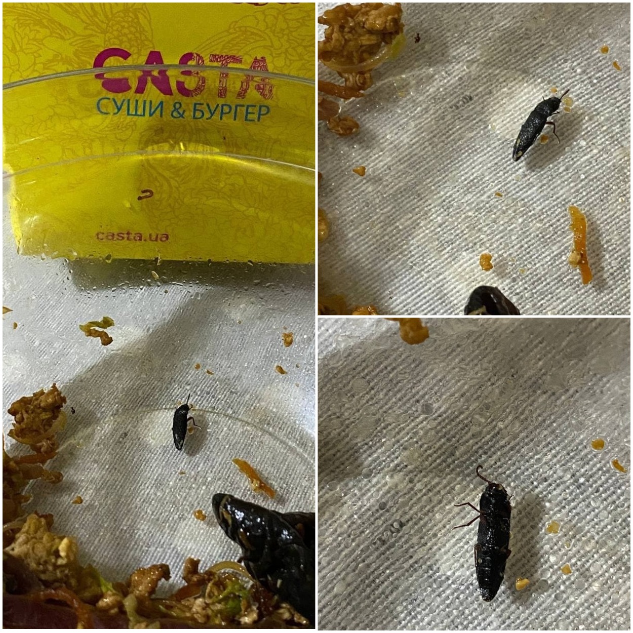 Таракан в лапше с курицей/ фото: tg Черный список