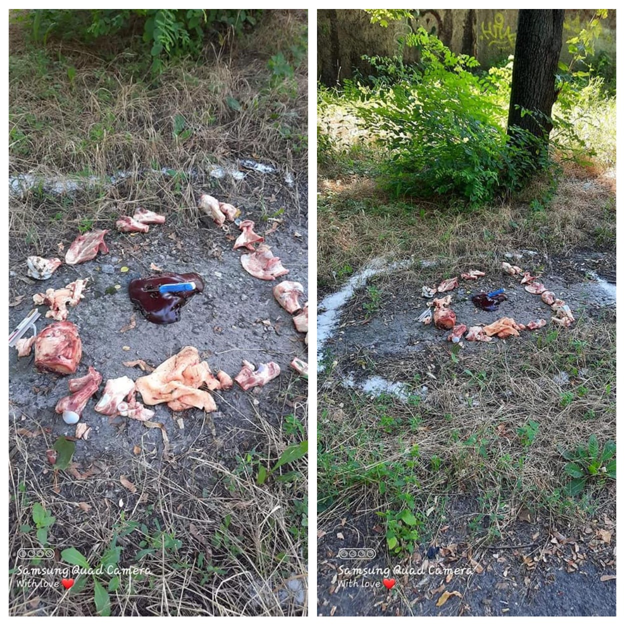 Кто-то делал магический ритуал за ДК Ильича/ фото: fb Екатерины Головачевой