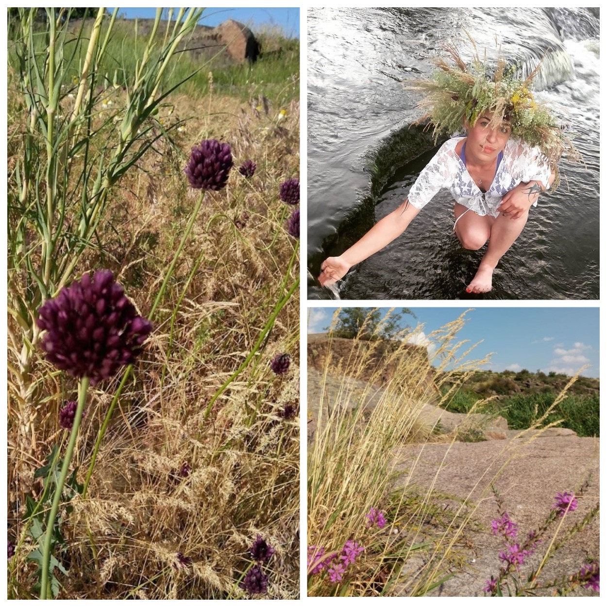 Растения на Токовских водопадах/ фото: inst токовские водопады