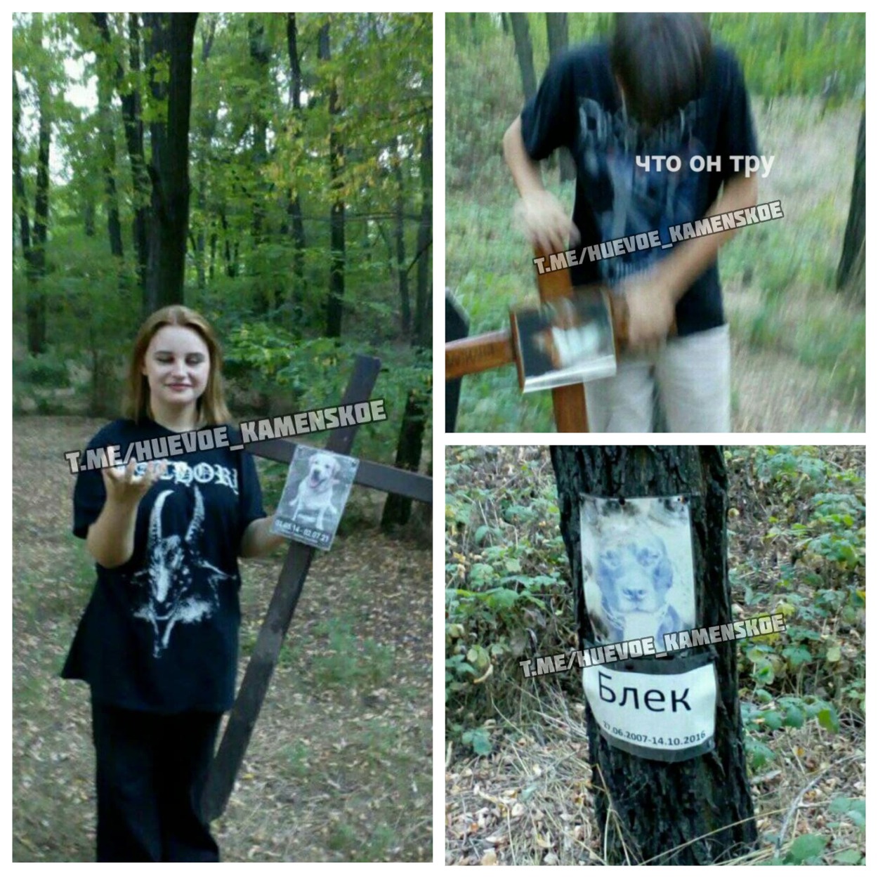 Подростки осквернили неофициальное кладбище домашних животных в Каменском/ фото: ХК