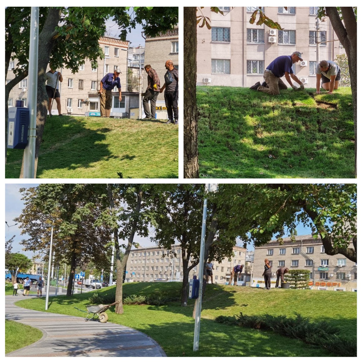 Восстановление газона в Слобожанском сквере в Днепре/ фото: Светлана Юрченко
