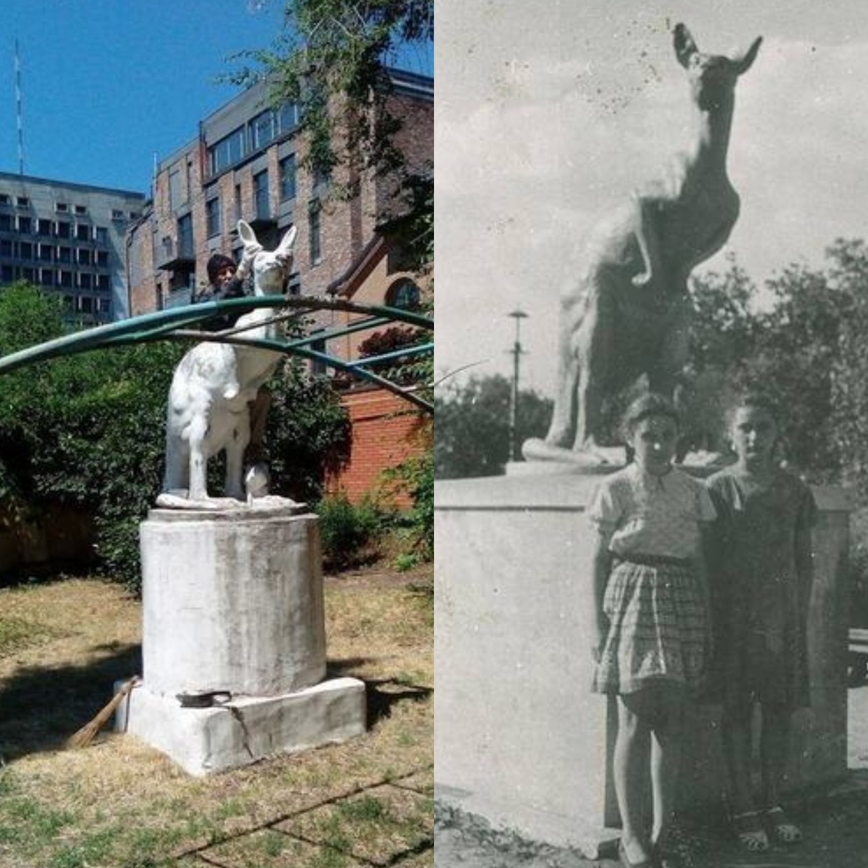Памятник кенгуру на Олеся Гончара и его старое фото 1957 года/ фото: gorod.dp.ua