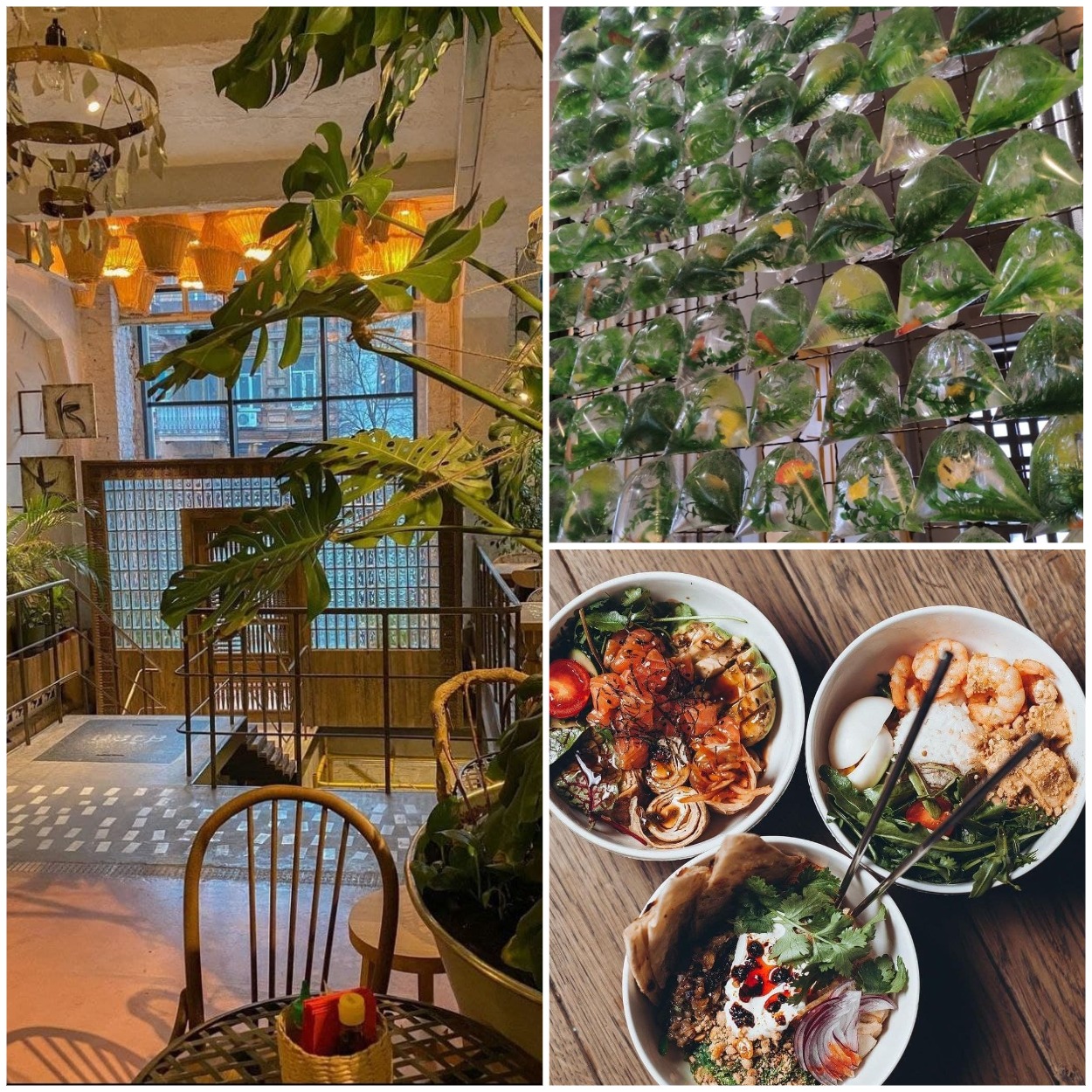 Ресторан "Кастрюлька утюга варит рис" в Днепре/ фото: inst kastrulka_utuga_varit_ris, googlemaps.com