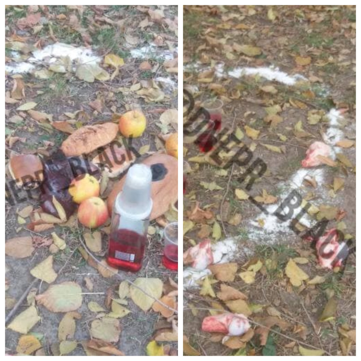 В парке Днепра провели магический ритуал/ фото: Dnepr_Black