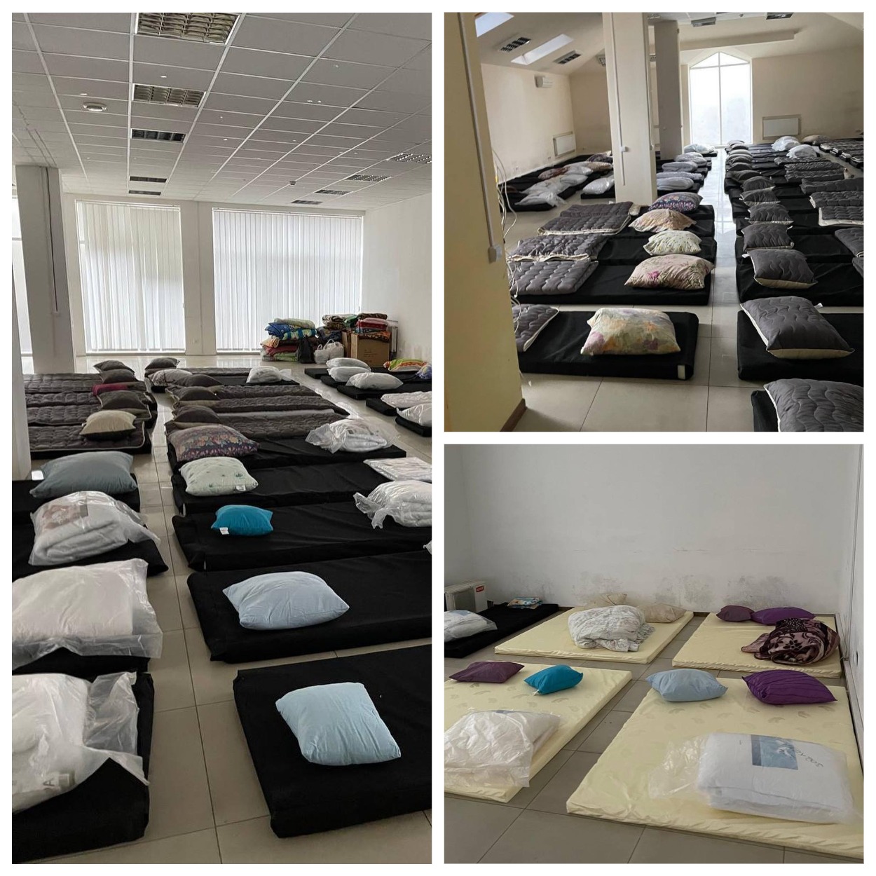 Помощь переселенцам в Днепре "Киддисвит".