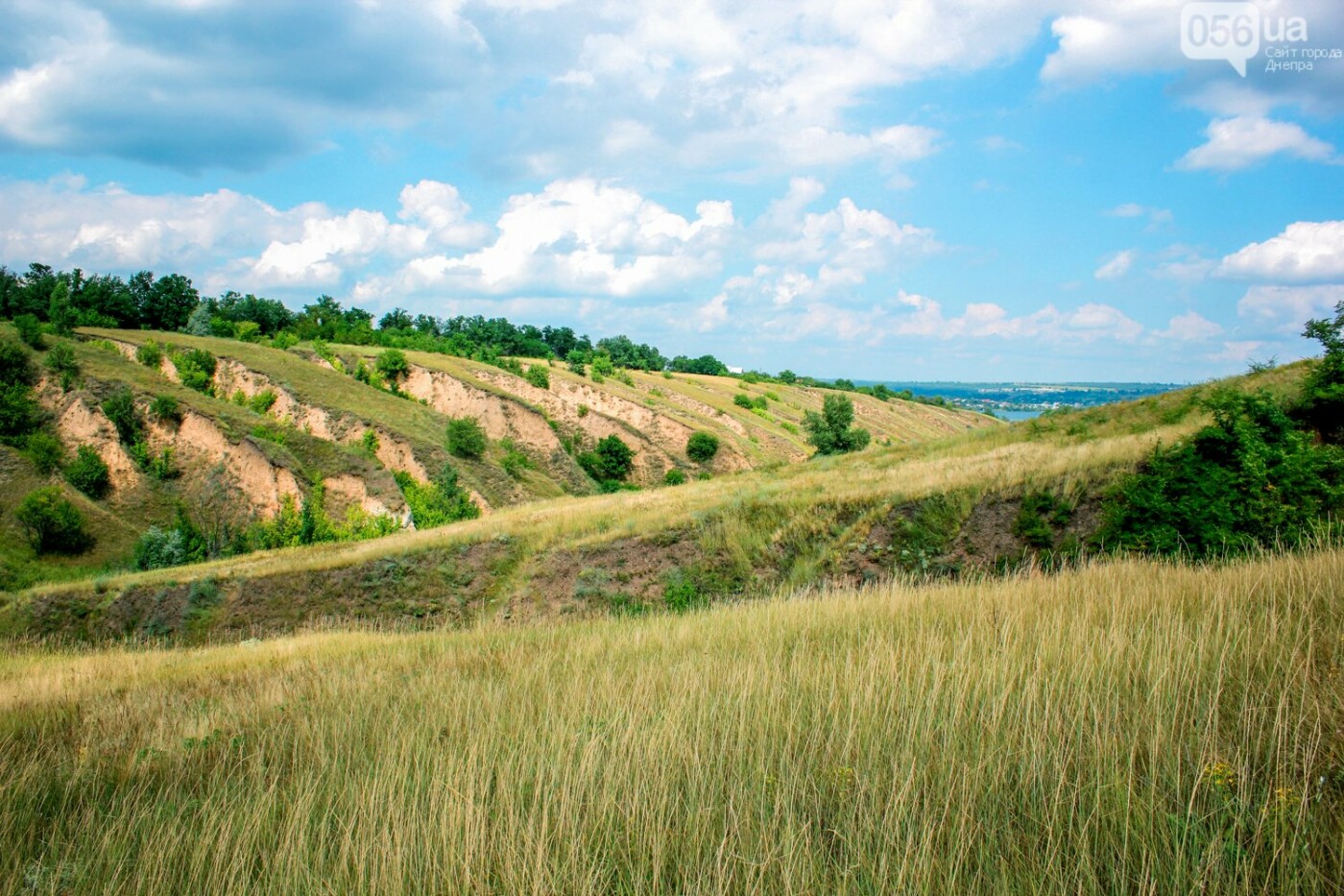 Сажевская балка в Старых Кодаках/ фото: 056.ua