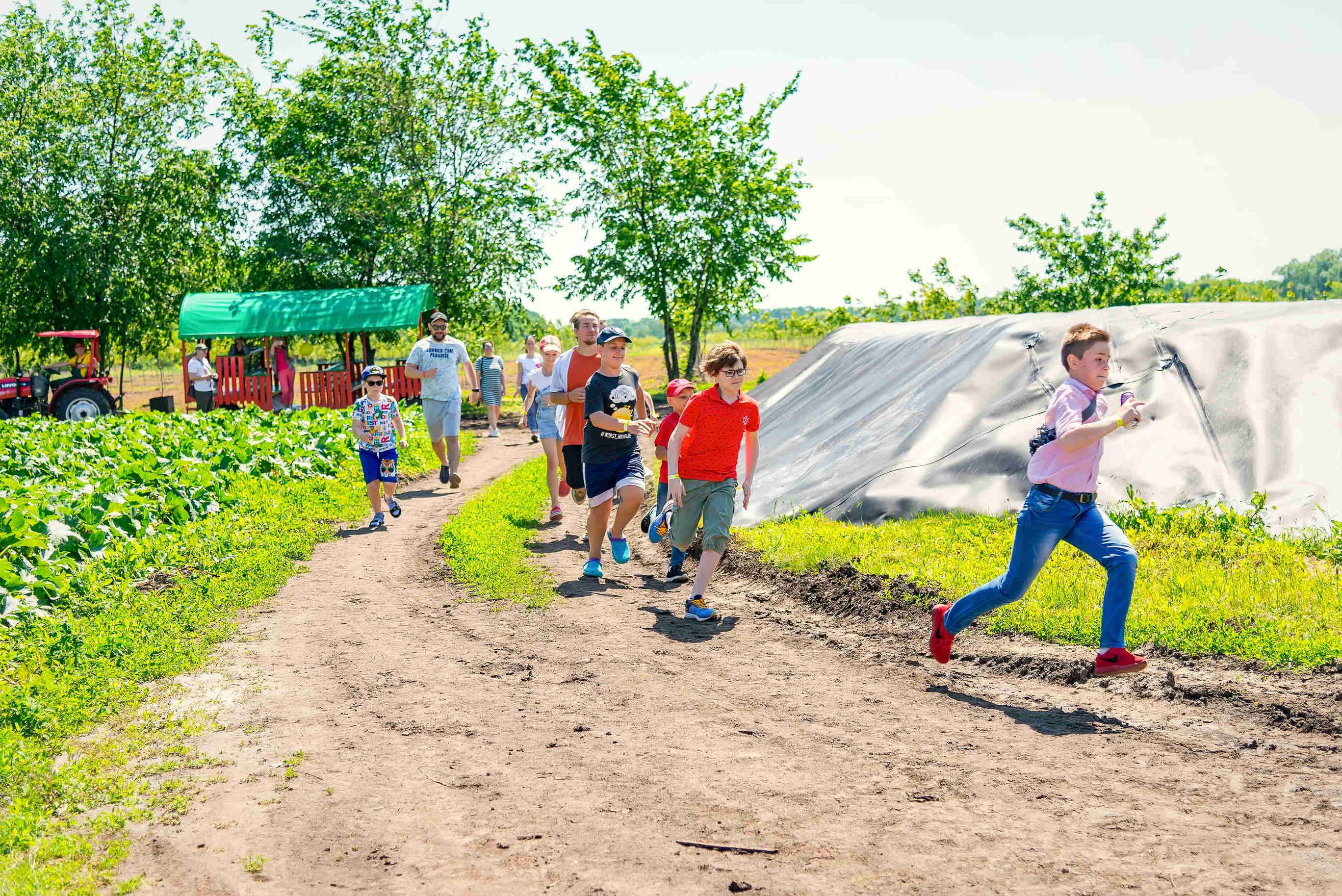 Экскурсия в "Берриленд"/ фото: berryland.com.ua