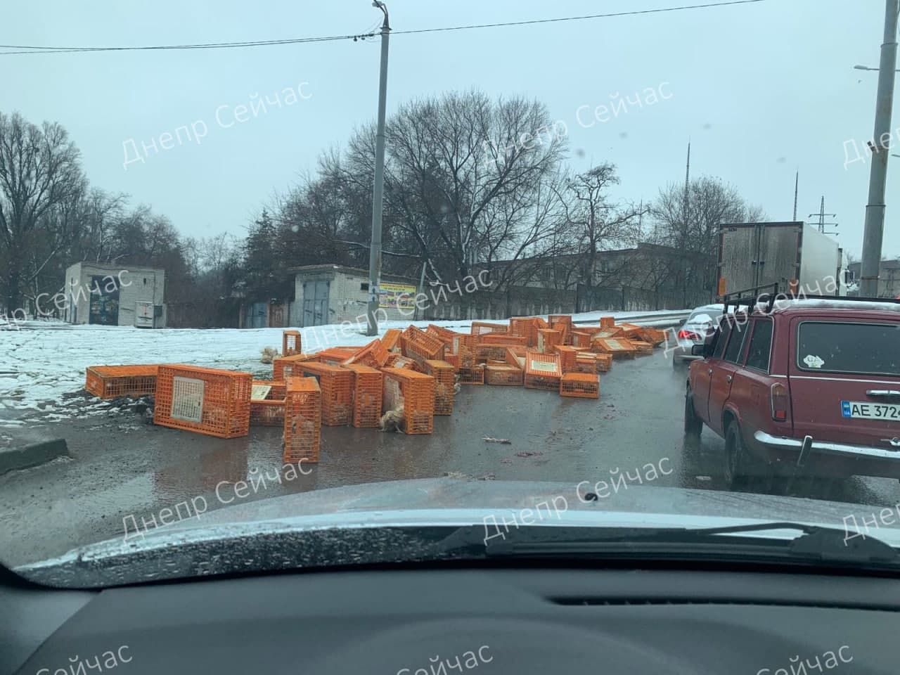 Клетки возле Южного моста/ фото: tg Днепр Сейчас
