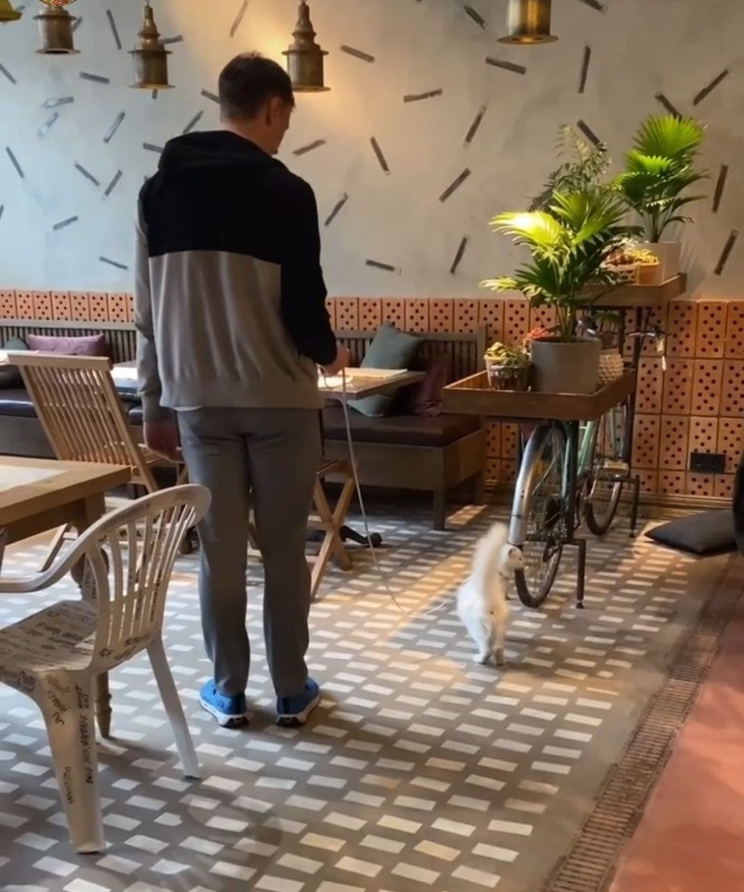 8 заведений в Днепре, куда можно сходить с домашними питомцами фото