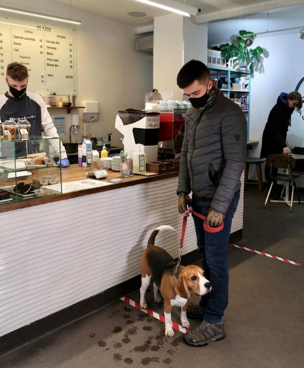 Парень с собакой в кафе "Вайт".
