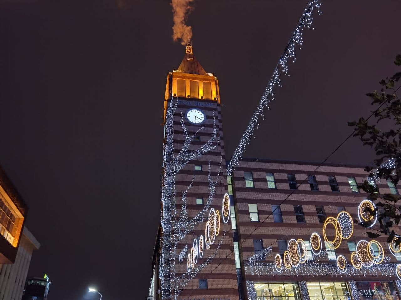 Дерево на "Босфоре"/ фото: Светлана Юрченко