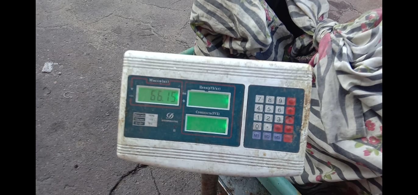 Сом на весах/ фото: fb Виталия Мелюса