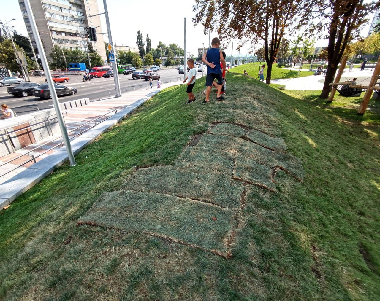 Восстановленный газон в сквере на Слобожанском проспекте/ фото: Светлана Юрченко