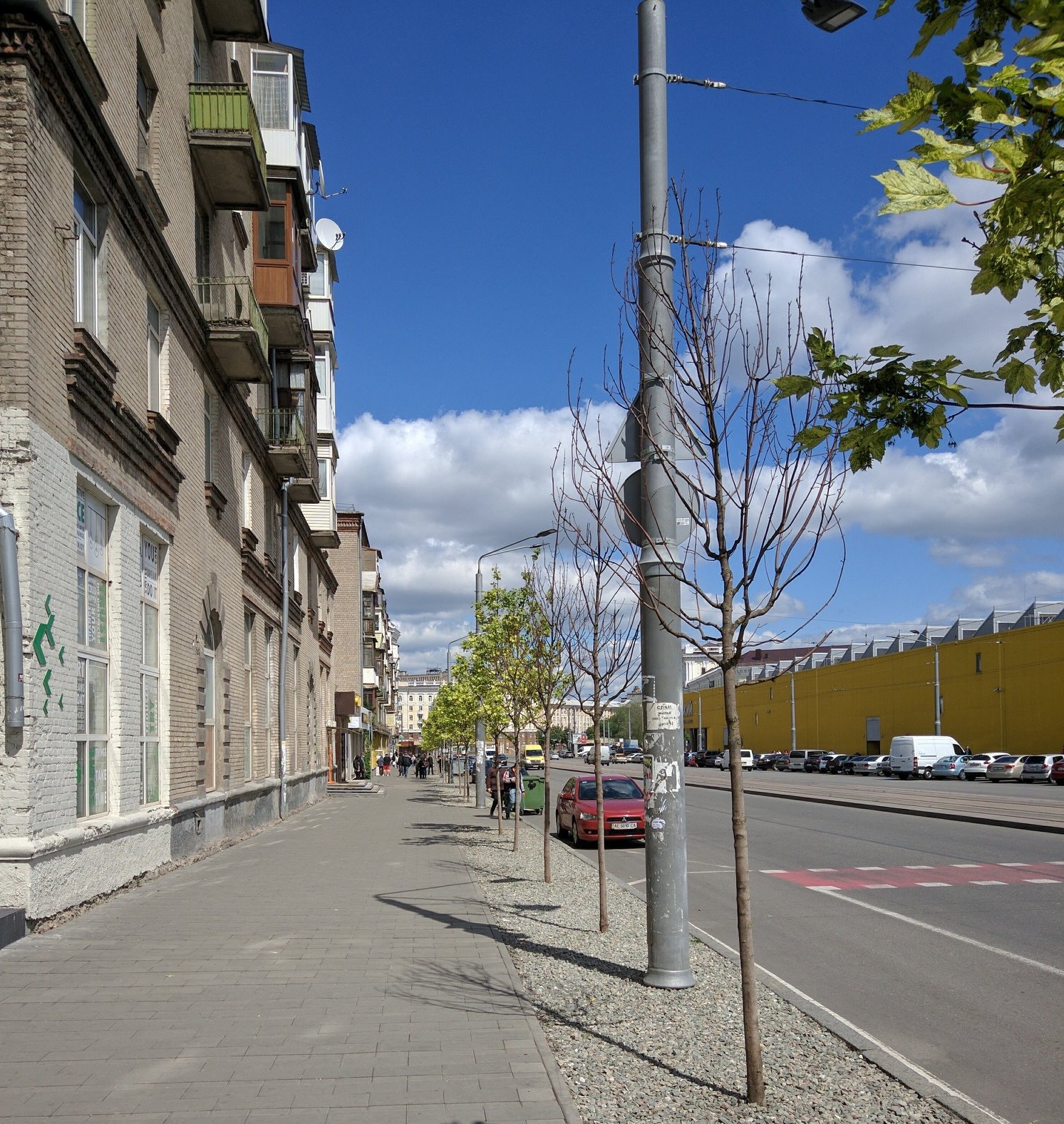 На Курчатова прижились не все молодые деревья/ фото: Евгений Удовиченко