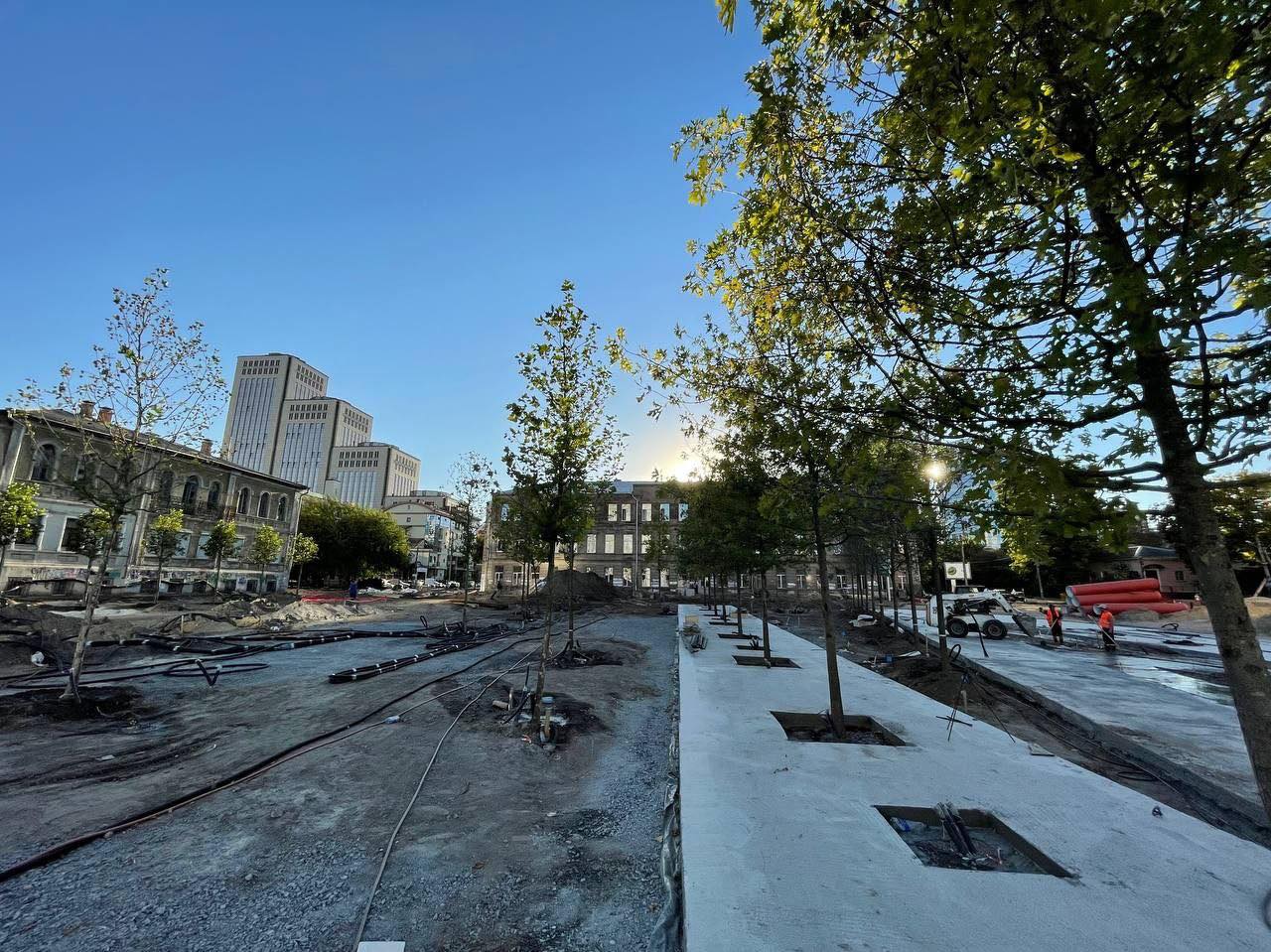 Деревья на Успенской площади/ фото: пресс-служба департамента благоустройства и инфраструктуры Днепра