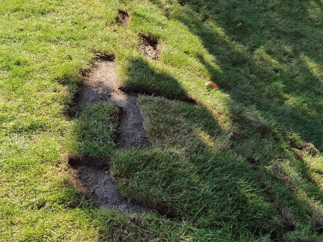 Изуродованный газон в Слобожанском сквере в Днепре/ фото: Светлана Юрченко