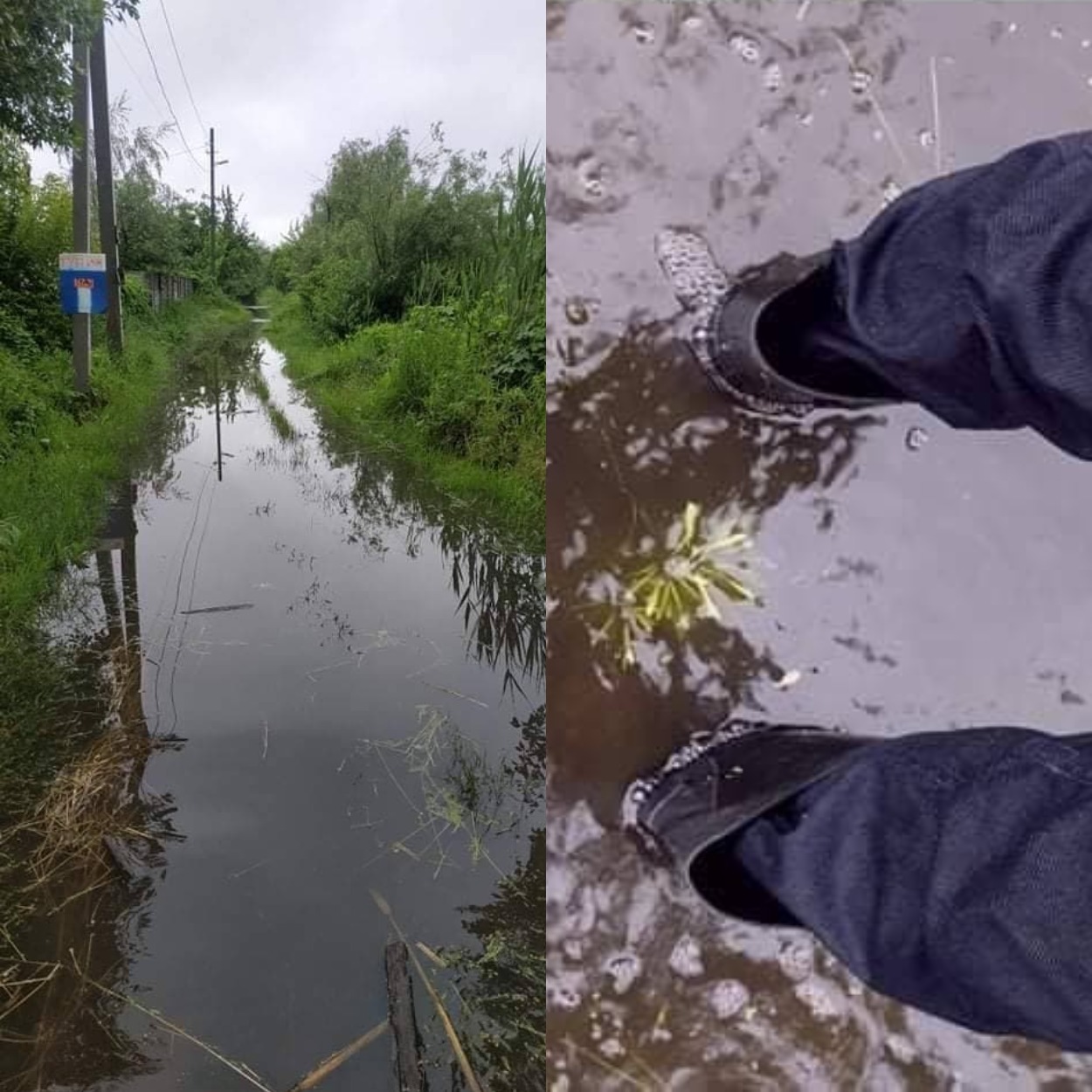 Житель улицы Гусиной в забродах/ фото: 34 канал