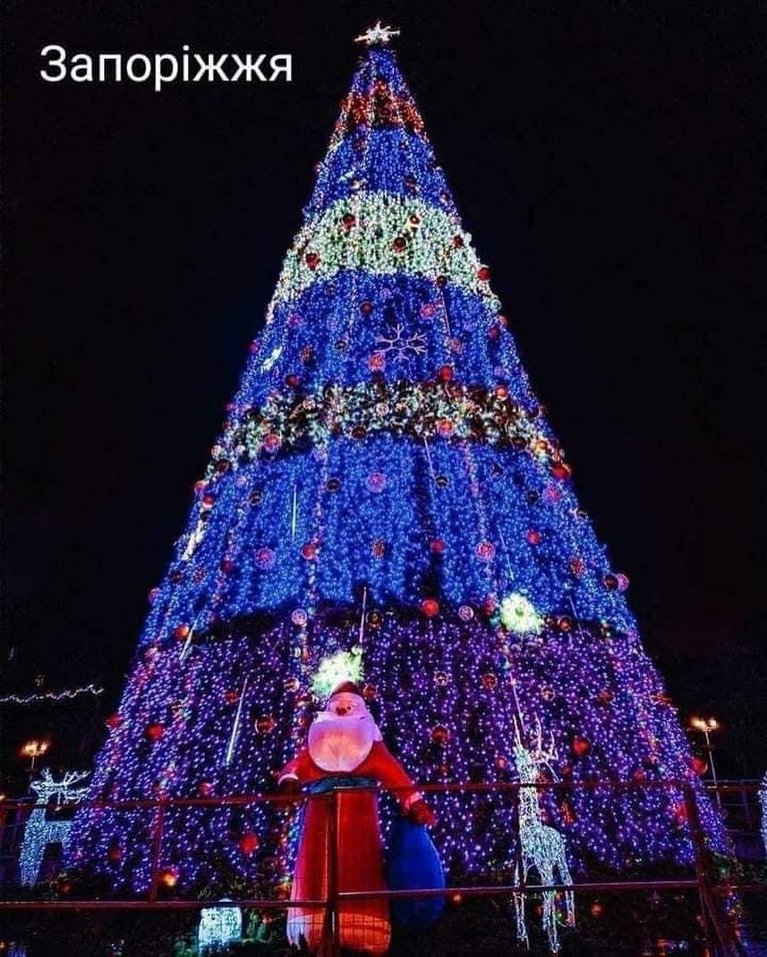 Главная елка в Запорожье/ фото: ХД