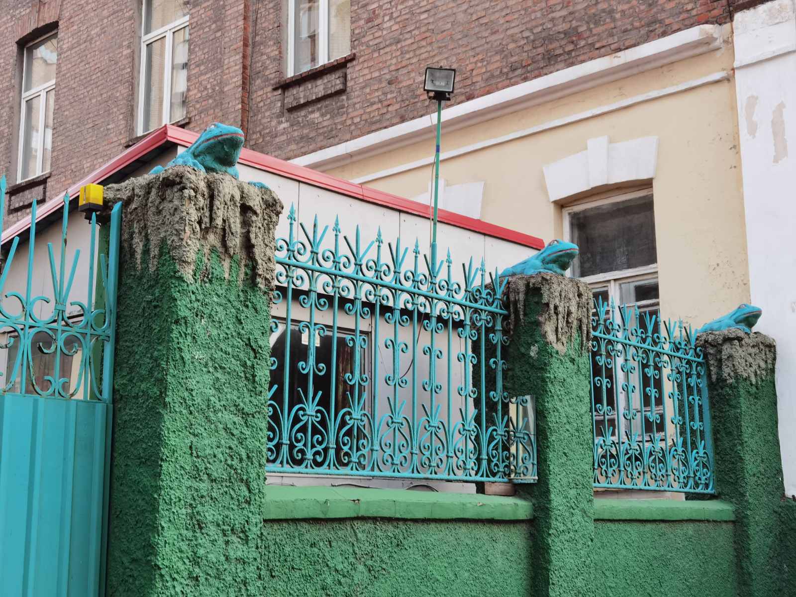 Лягушки на заборе/ фото: Светлана Юрченко