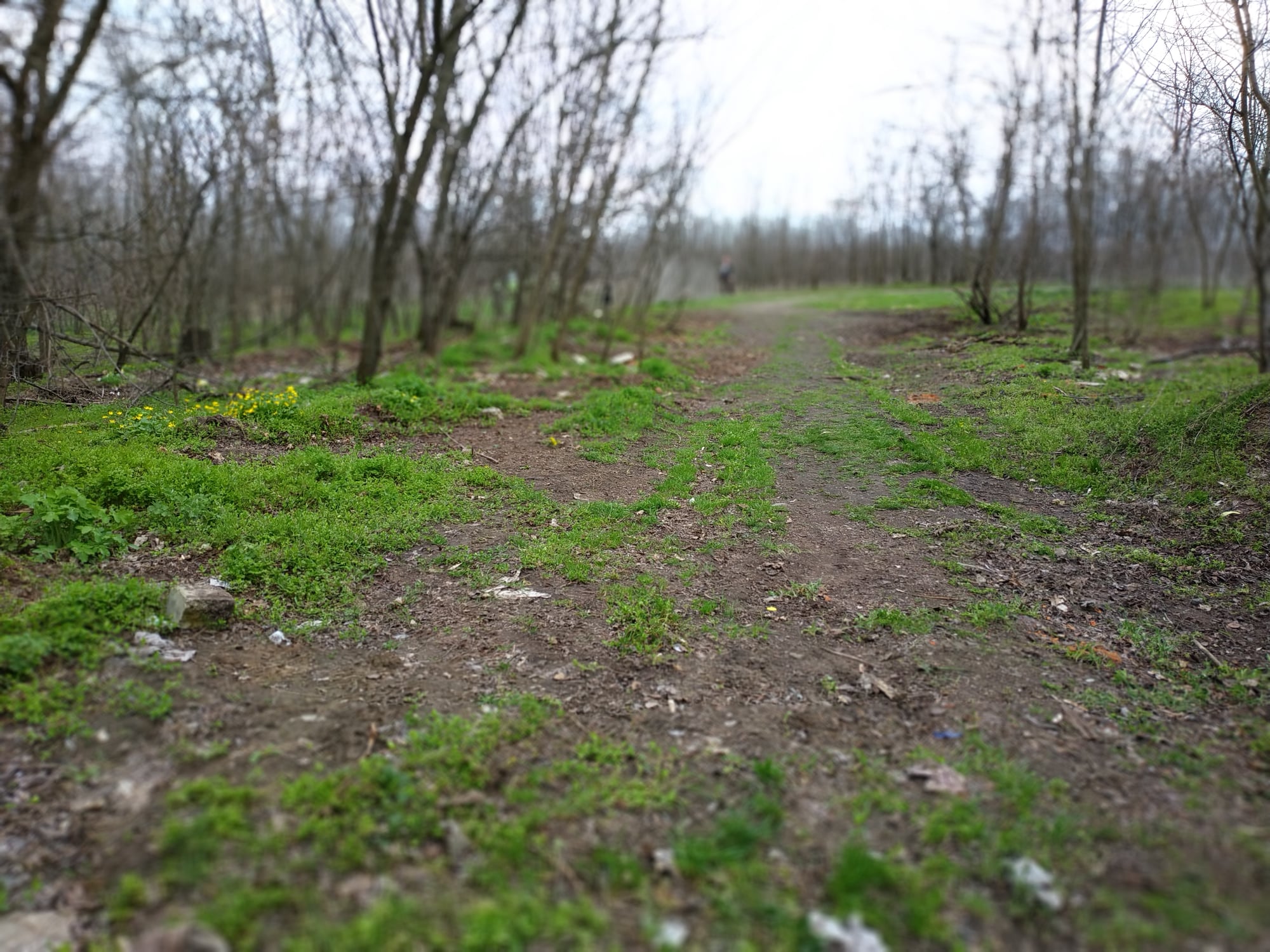 Убранная зеленая зона/ фото: fb Вадима Шуйдина