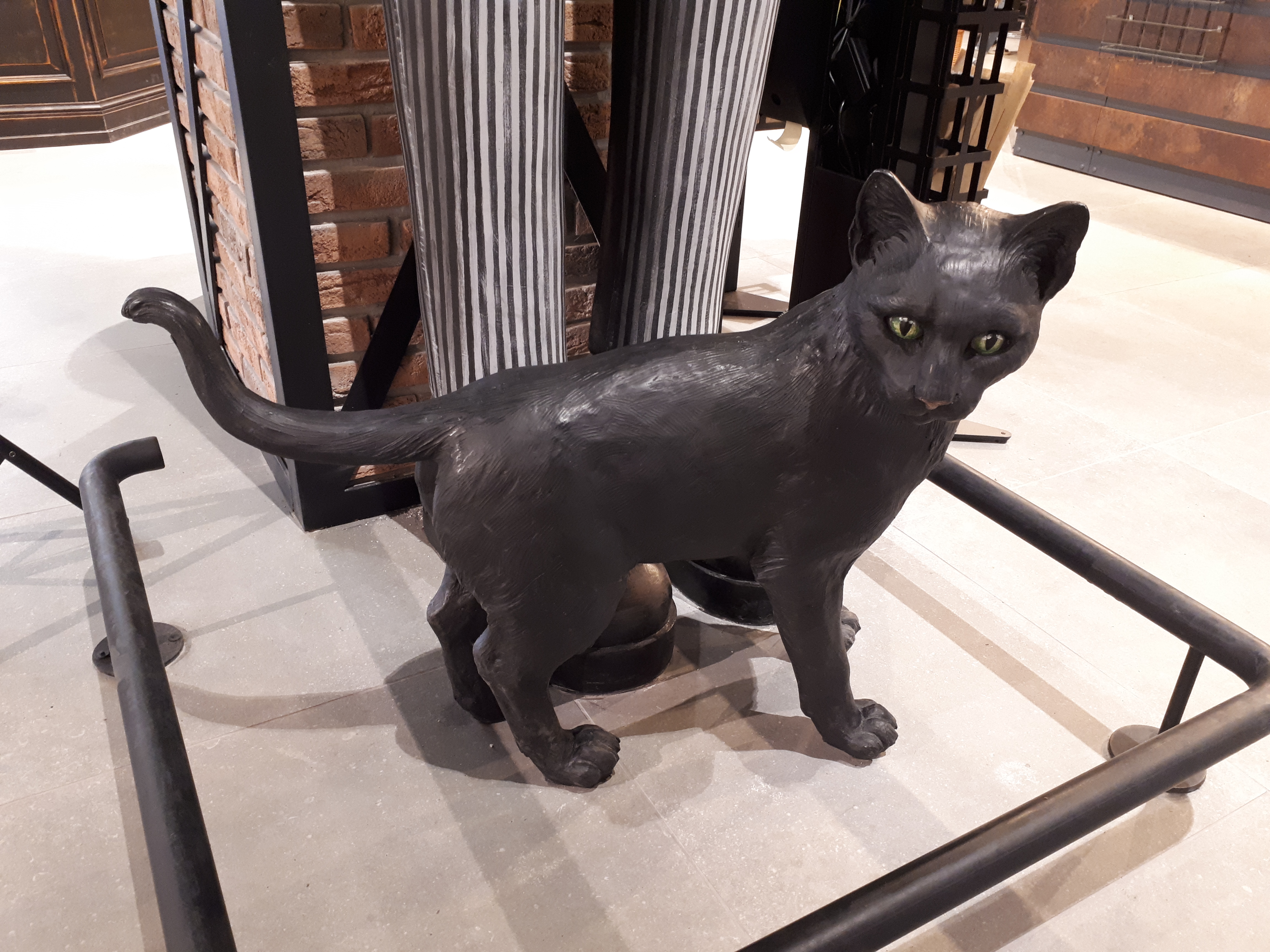 Кот по имени Мачак/ фото: Светлана Юрченко