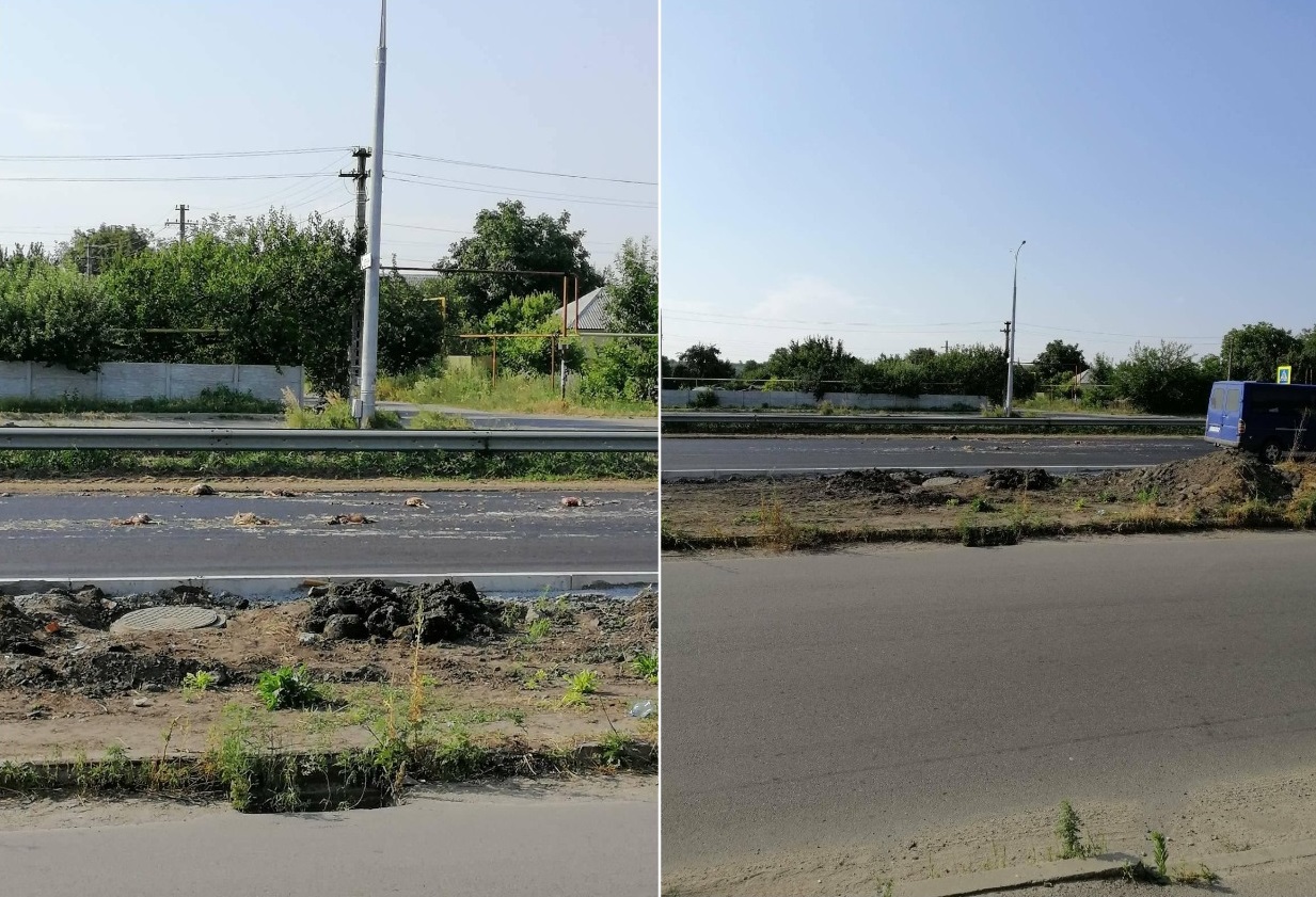 Дохлые курицы на трассе в Подгородном/ фото: fb Светланы Плыс