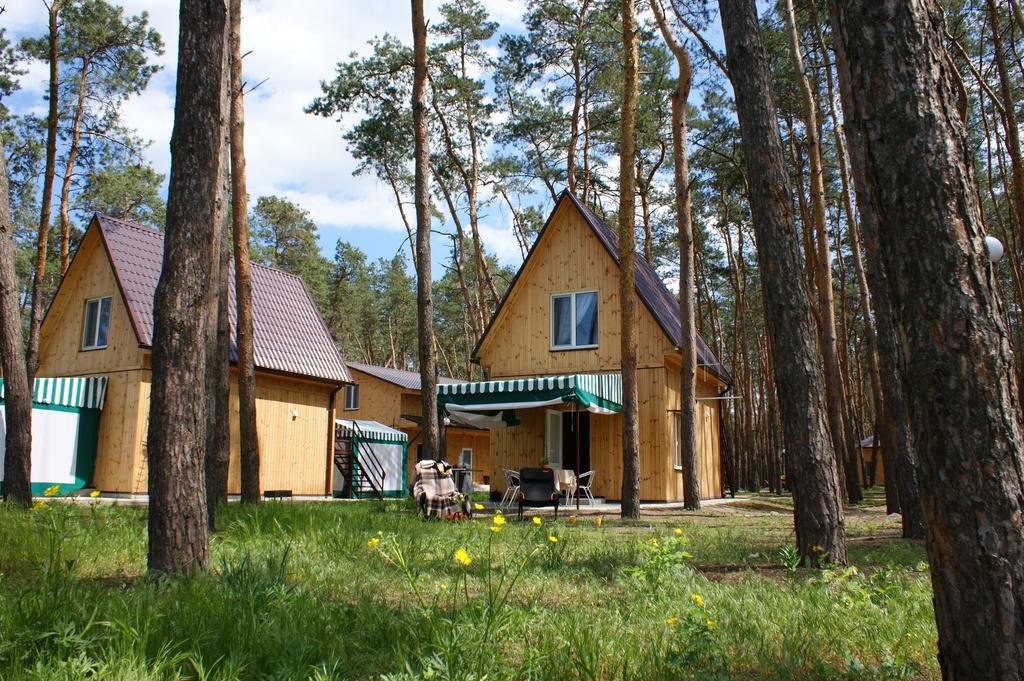 Турбаза "Лес на Самаре"/ фото: planetofhotels.com