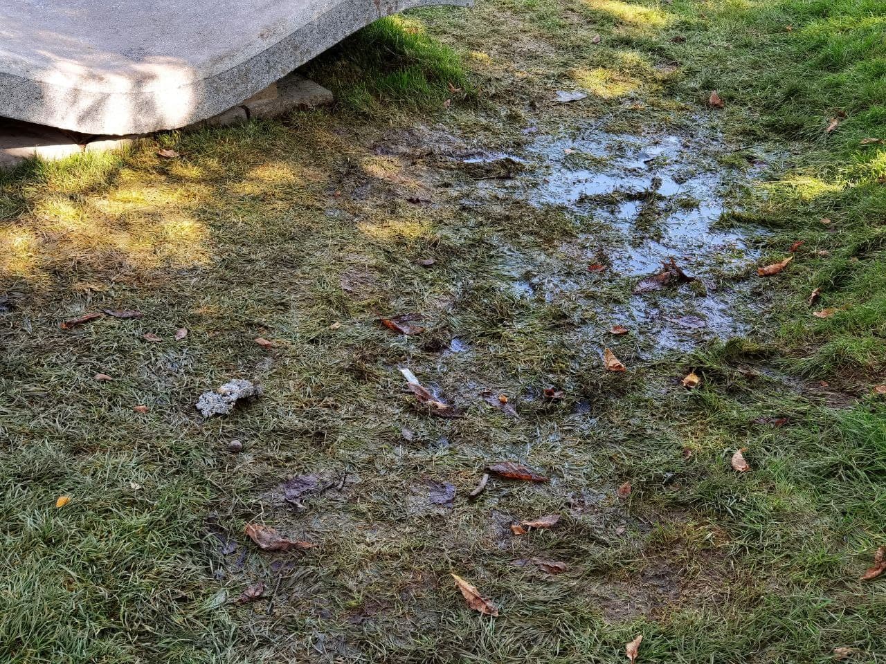 Лужа у лавочки-волны в сквере на Слобожанском проспекте/ фото: Светлана Юрченко