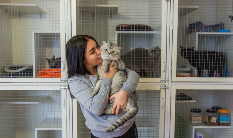 Кот в отеле/ фото: holiday.by