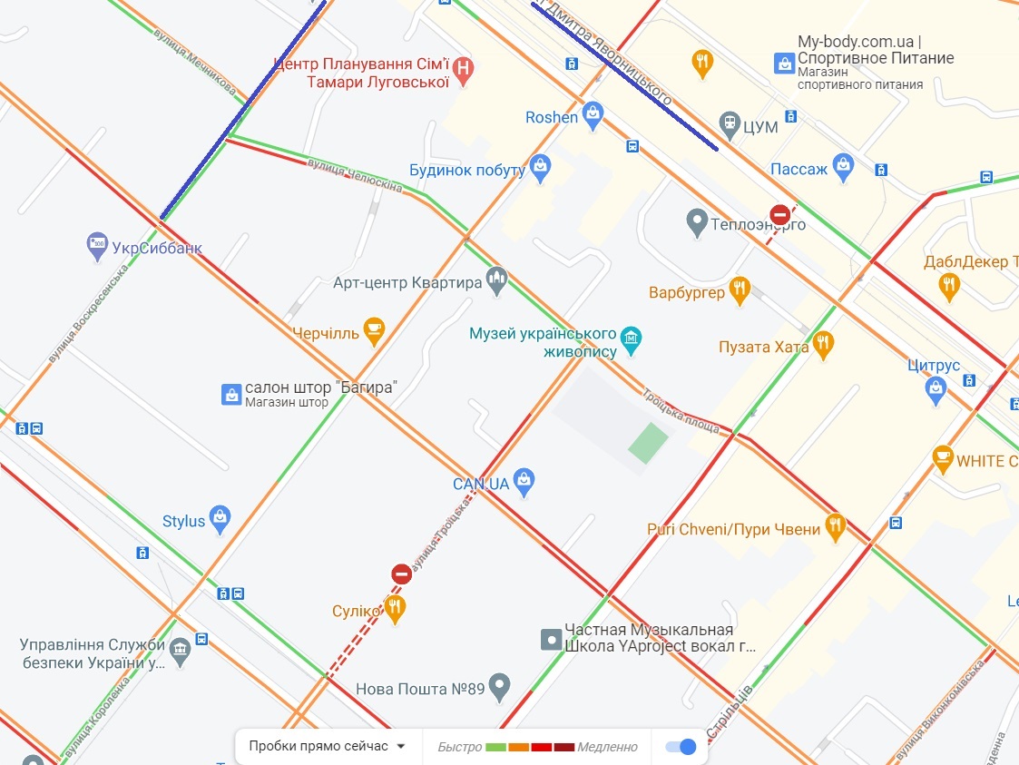 Путь объезда показан синим цветом/ фото: googlemaps.com