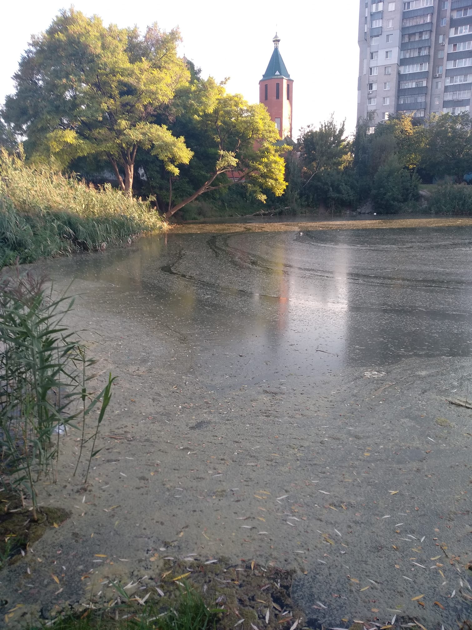 Озеро на Победе-6 умирает/ фото: fb Ольги Новиковой