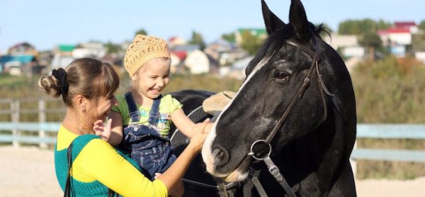 Прогулки на лошадях/ фото: real-vin.com