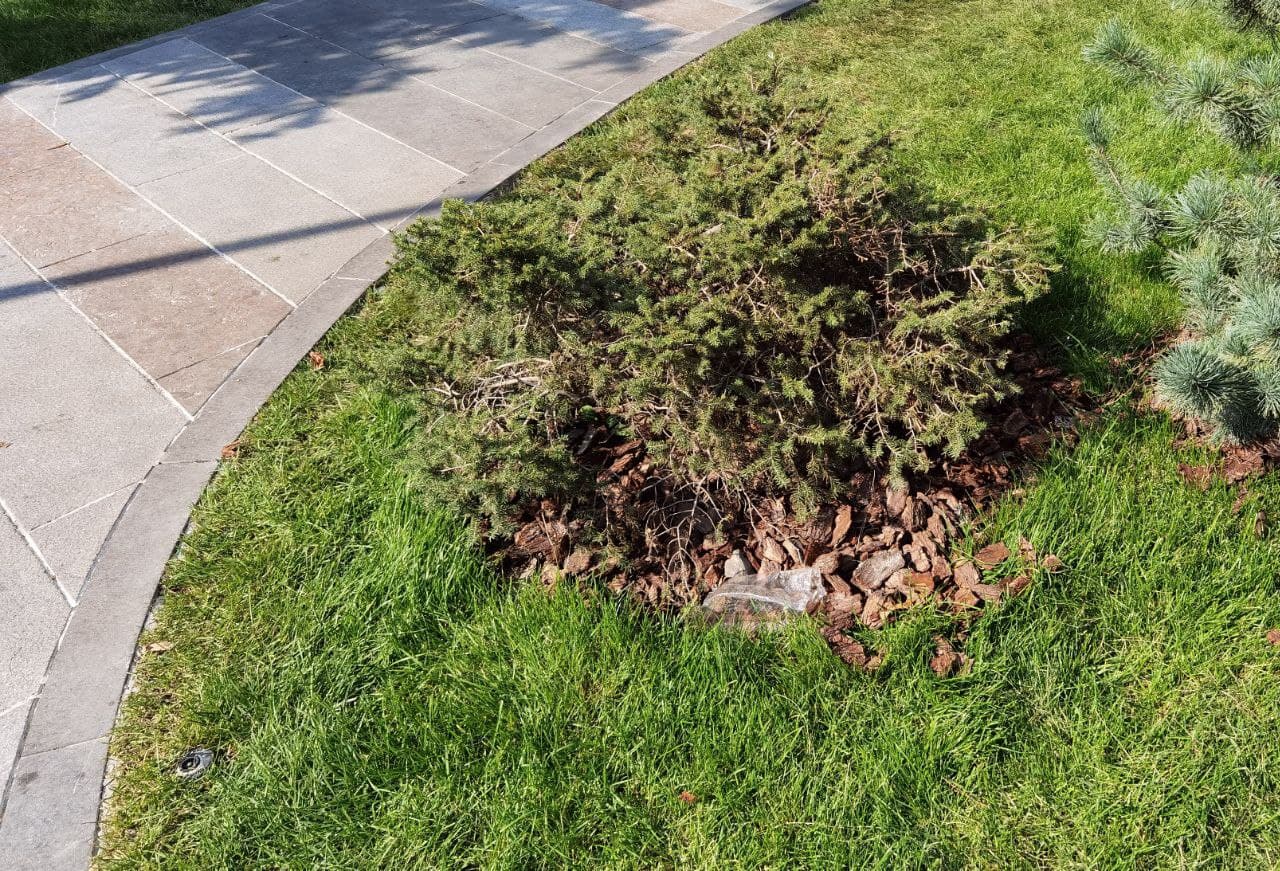 Мусор в сквере на Слобожанском проспекте/ фото: Светлана Юрченко