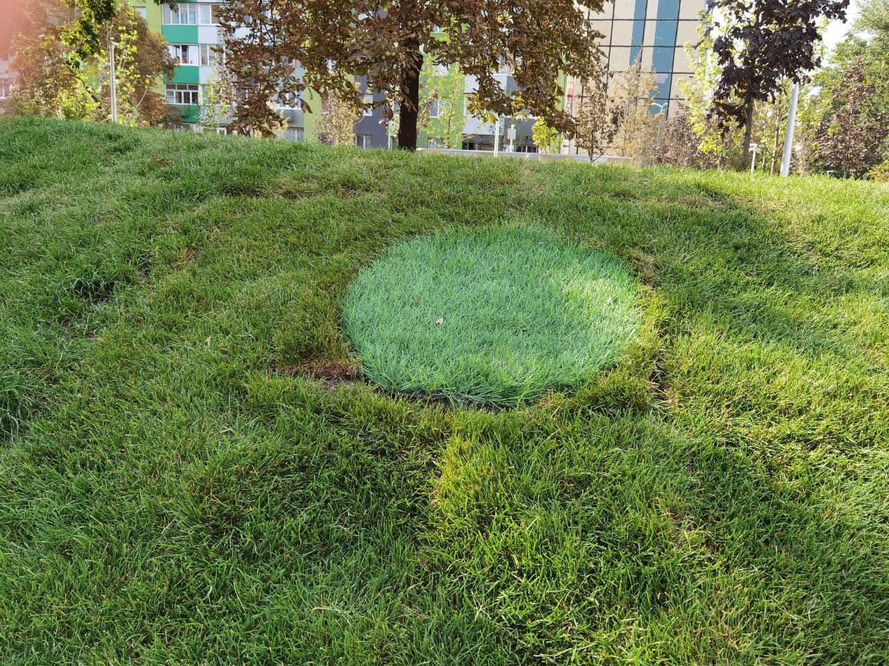 Восстановили газон в Слобожанском сквере в Днепре/ фото: Светлана Юрченко