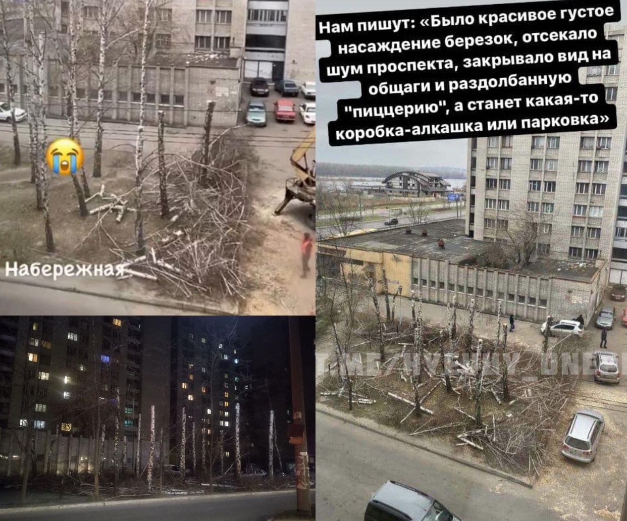 Реакция днепрян на вырубку березовой рощи/ фото: ХД