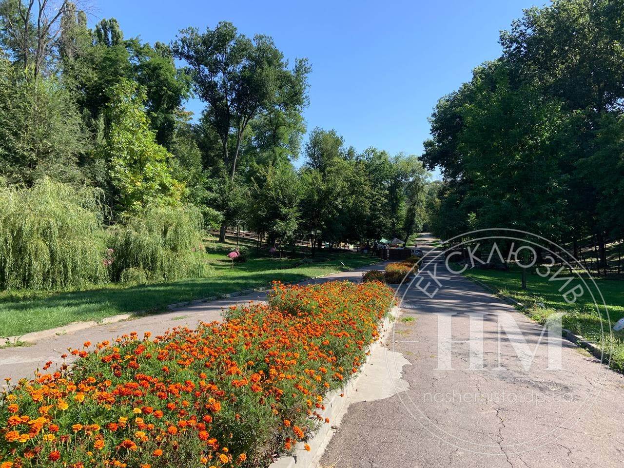 Разрытые склоны в парке Зеленый Гай/ фото: НМ