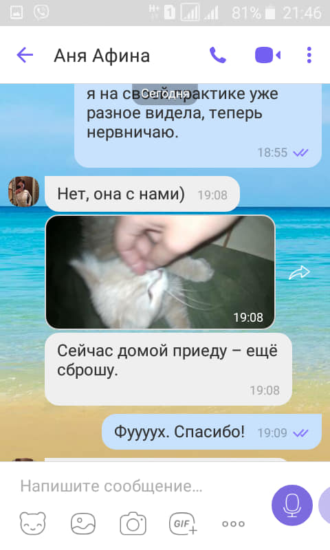 Переписка в вайбере про Афину/ фото: fb Виктории Валентиновны