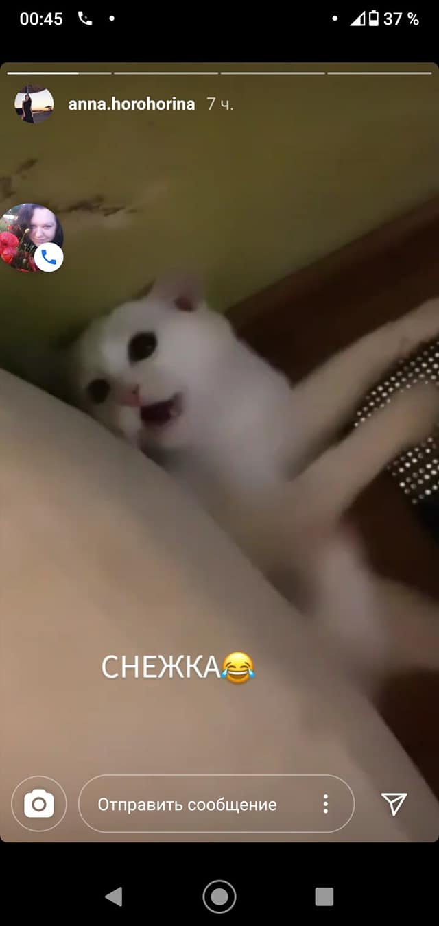 Новая "жертва" безответственной женщины/ фото: fb Виктории Валентиновны