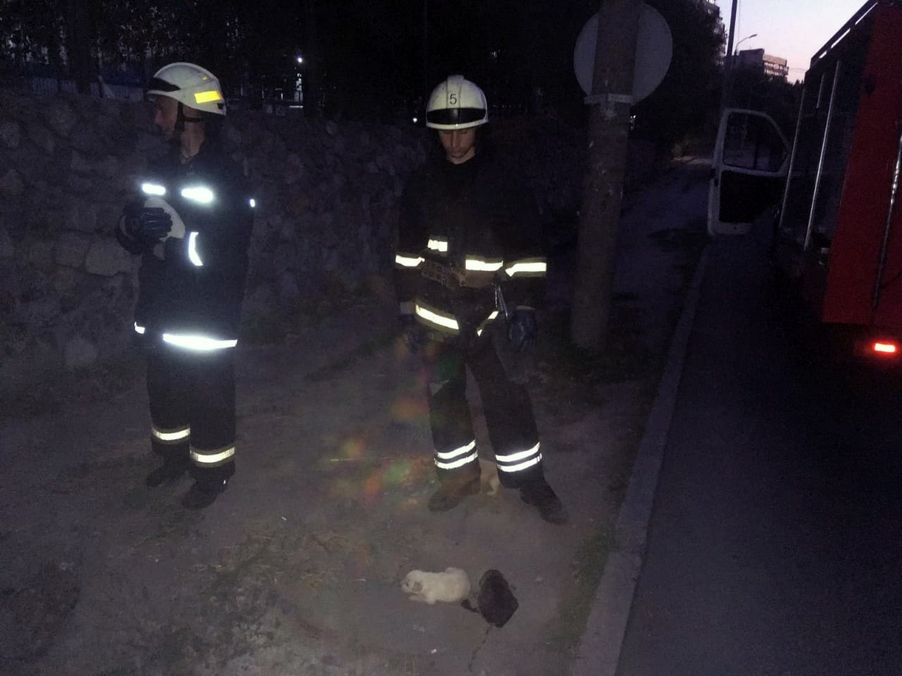 Спасатели достали из ямы щенят / фото: ГСЧС в Днепропетровской области