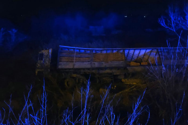 Грузовик перевозит курочек / фото: ГСЧС