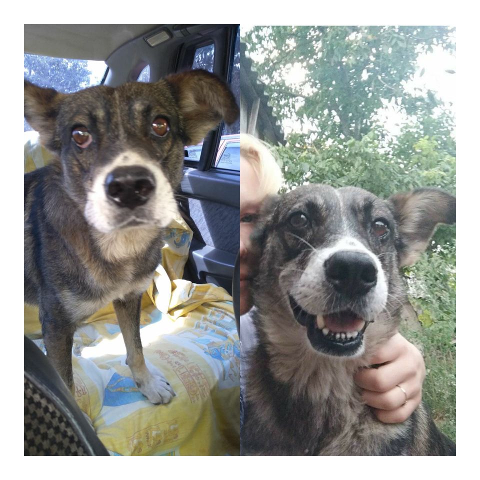 Малыш - разница в несколько часов / фото: fb Наталья Доля