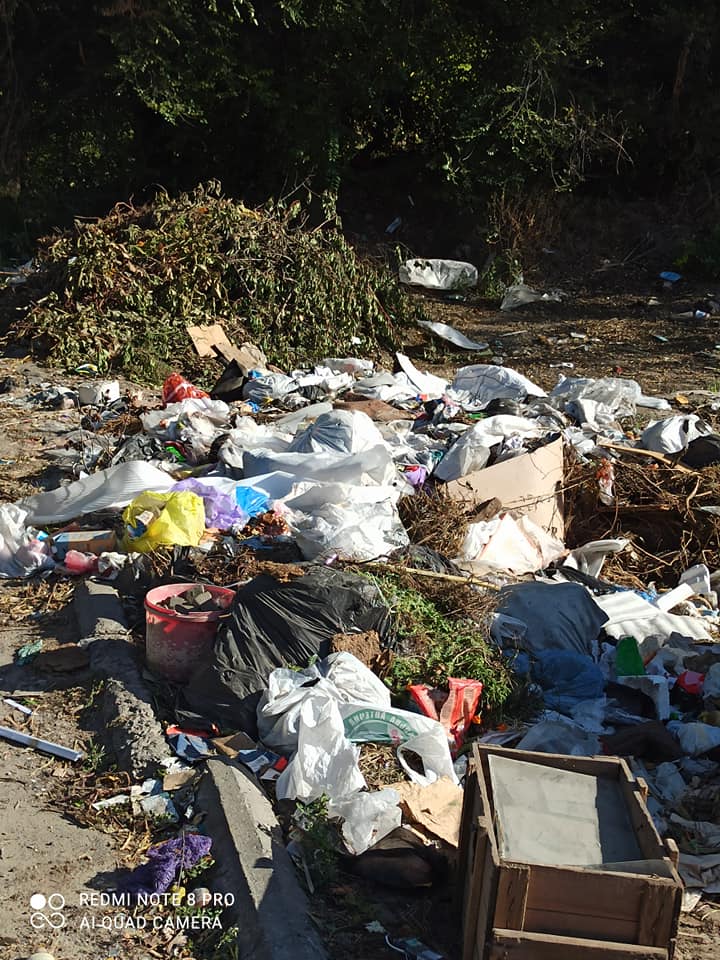 Среди прочего можно увидеть ветки и листья / фото: fb Александра Новак