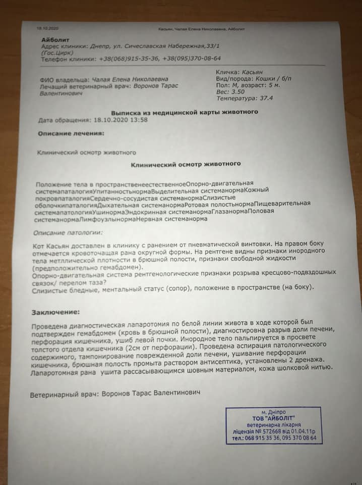 Заключение врача по поводу Касьяна / фото: fb Яна Чайка