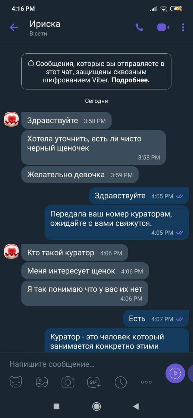 Девушка ищет черного щенка / фото: fb Екатерина Гаркуша