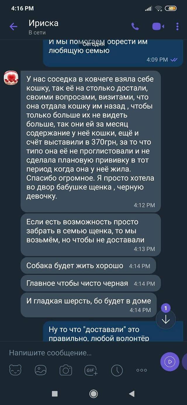 Важно, чтобы ее не доставали волонтеры / фото: fb Екатерина Гаркуша