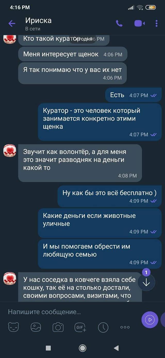 Девушка не хочет связываться с куратором / фото: fb Екатерина Гаркуша