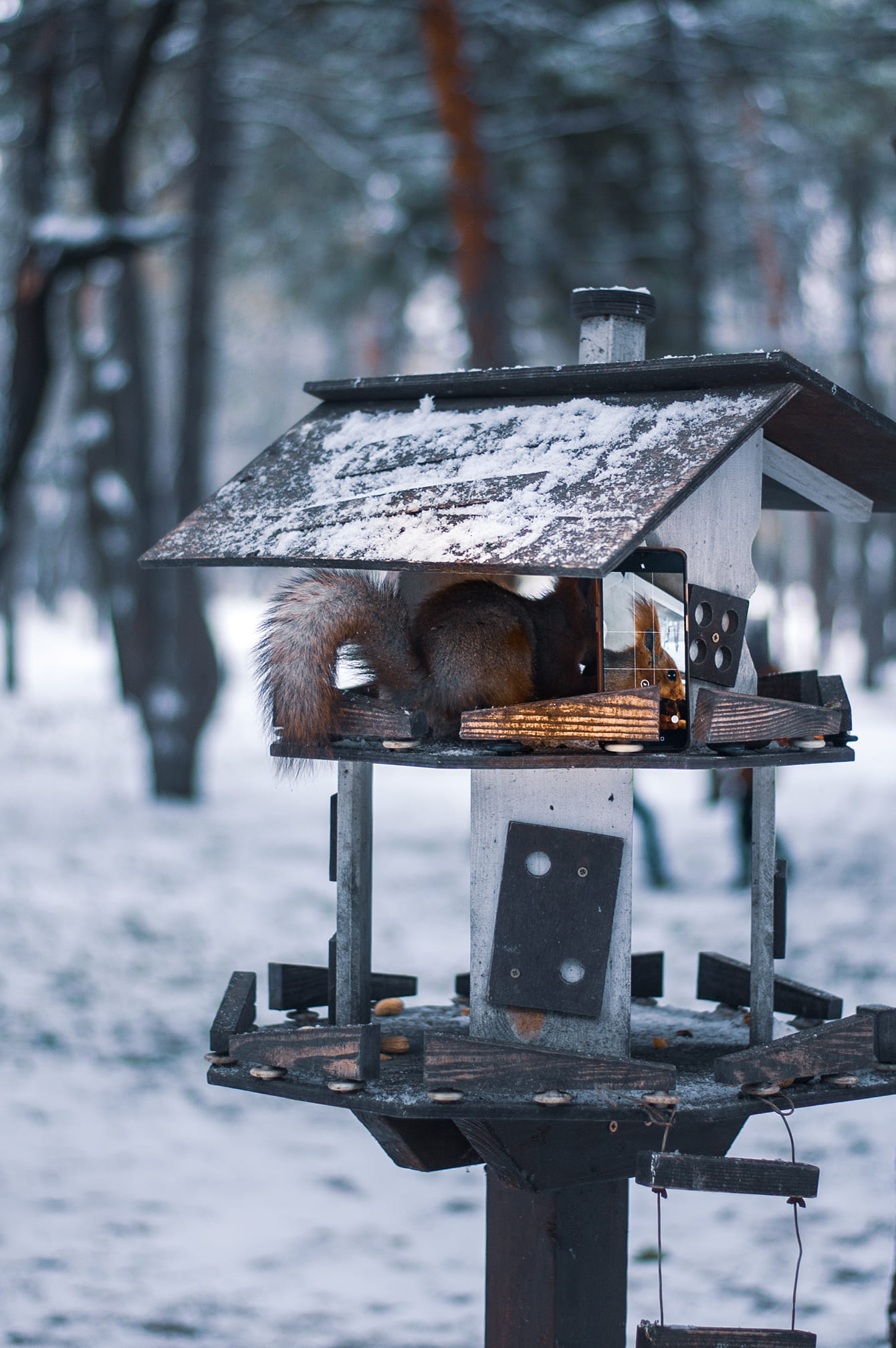 "Бэкстейдж" со съемок / фото: fb Оксана Ермошенко