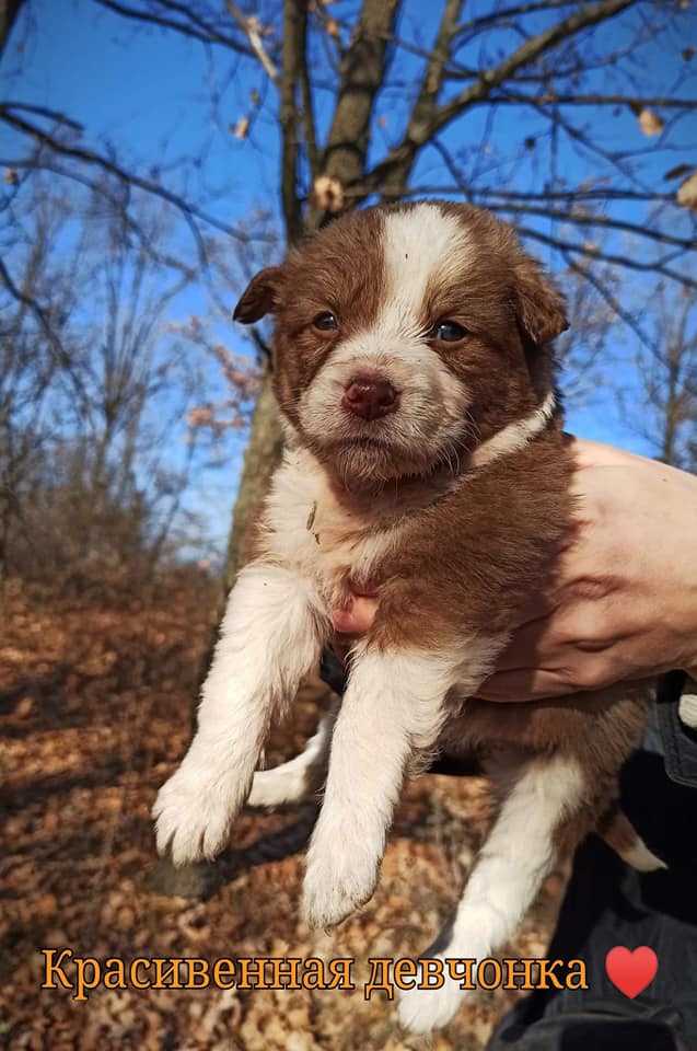 Маленькое чудо / фото: fb ДНЕПР Дорога Домой. ROAD HOME