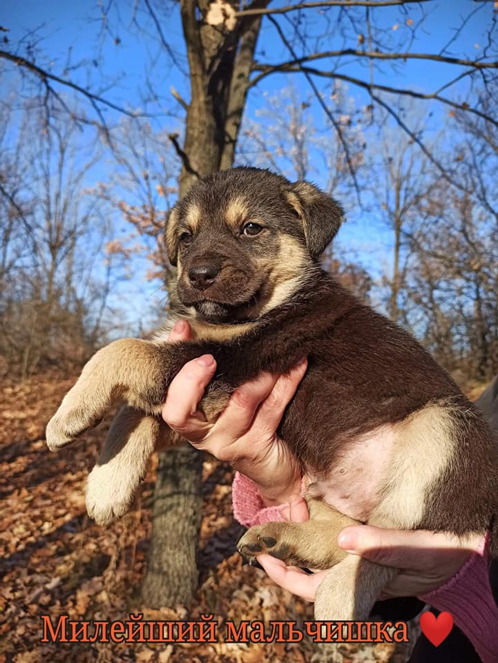 Милаш / фото: fb ДНЕПР Дорога Домой. ROAD HOME