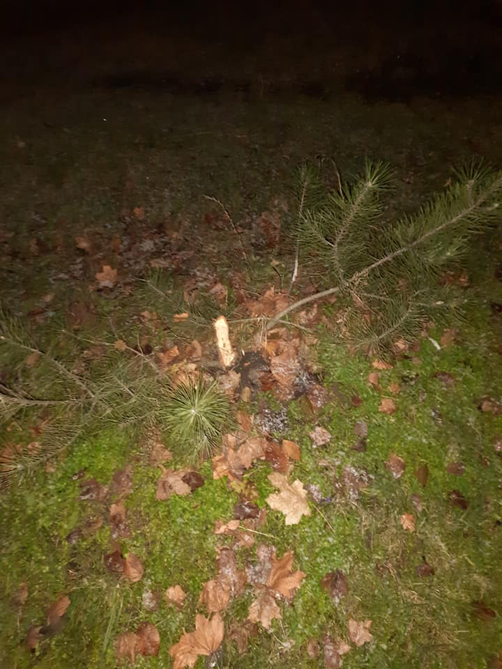 На их месте почти ничего не осталось / фото: fb Оксана Петровская